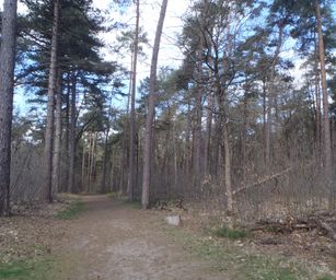 Kasterlee - 17-04-2021 (13)