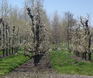 19-04-2023 - Wellen (8)