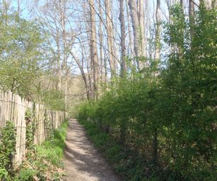 18-04-2022 - La Hulpe  (3)