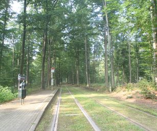 Sint-Pieters-Woluwe  - 19-09-2021 (7)