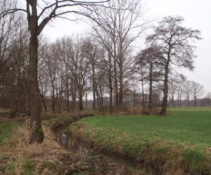24-01-2023 - Deurne (23)