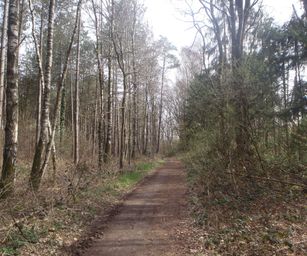 28-03-2023 - Meldert (11)