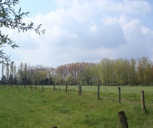 Dendermonde - 01-05-2021 (11)