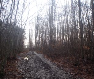 Pellenberg - 13-12-2020 (21)