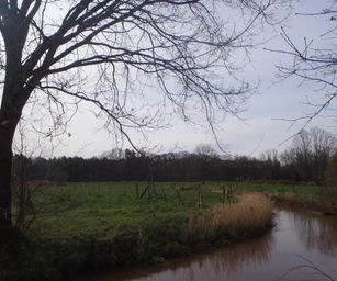 28-03-2023 - Meldert (5)