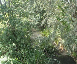 27-08-2023 - Laarne (13)