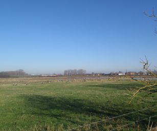 Gentbrugge - 28-11-2020 (30)