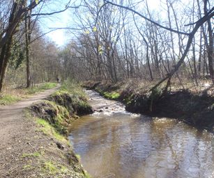 03-04-2023 - Diepenbeek (3)