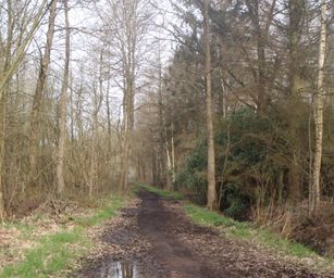 28-03-2023 - Meldert (3)