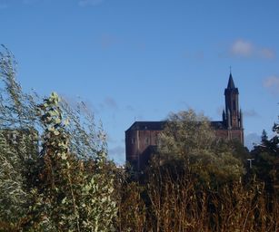29-10-2023 - Wetteren (21)