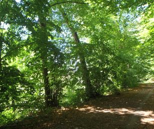 Oud Heverlee - 23-07-2020 (18)
