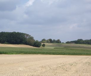 Holsbeek - 02-08-2020 (22)