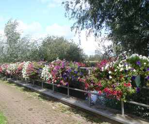 27-08-2023 - Laarne (14)