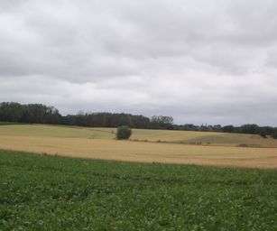 Taviers - 05-07-2020 (19)