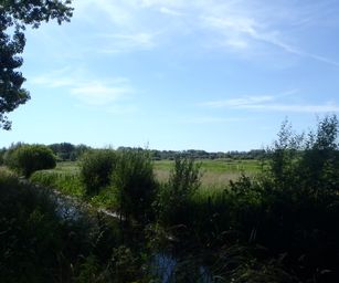 Te gek - 01-06-2020 (13)