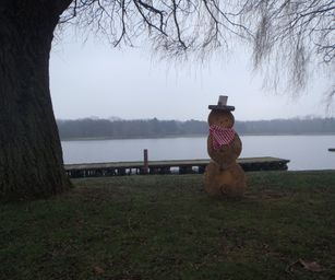 Sint-Niklaas - 27-02-2021 (9)