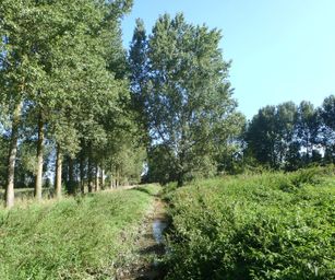 26-08-2023 - Sint-Truiden (3)