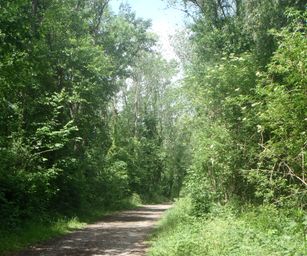 21-05-2022 Tongeren (6)
