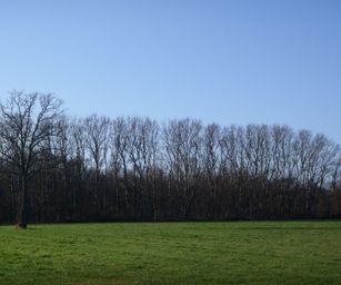 09-01-2022 - Hulsthout  (4)