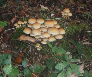 22-10-2023 - Beloeil (27)