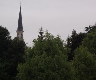 Schelle - 29-08-2021 (41)