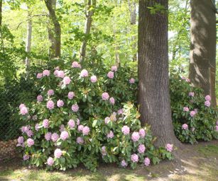 30-04-2022 - Destelbergen (13)