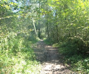 07-09-2023 - Overmere (18)