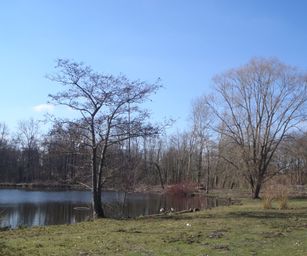 bornem - 20-03-2021 (4)