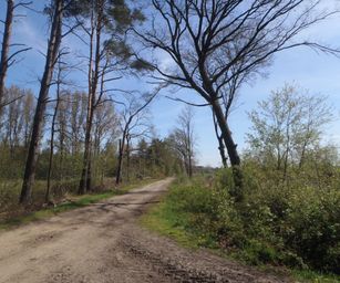 30-04-2023 - Herzele (5)