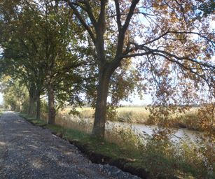 Wetteren - 31-10-2020 (15)