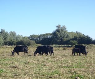 07-09-2023 - Overmere (4)