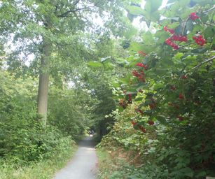 Sint-Pieters-Woluwe  - 19-09-2021 (15)