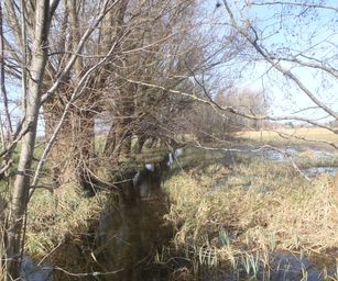 Bottelare 20-02-2021 (9)