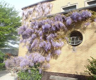 05-05-2023 - Dordrecht (5)