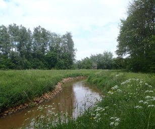 25-05-2023 - Herselt (11)