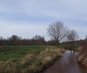 28-03-2023 - Meldert (6)