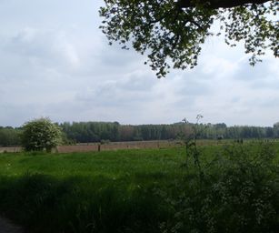 01-05-2022 - Herzele (1)