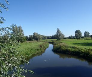07-09-2023 - Overmere (7)