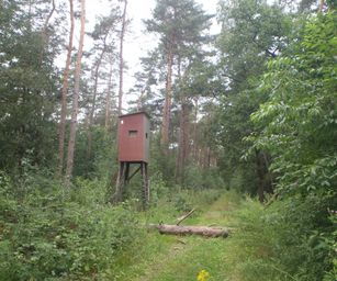 18-07-2023 - Opoeteren (5)