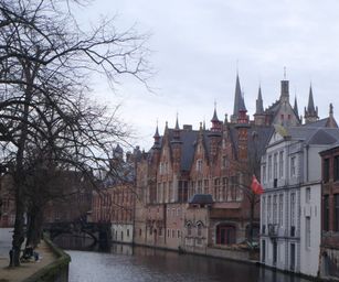 Brugge - 24-01-2021 (17)
