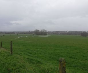 tubize - 08-03-2020 (14)