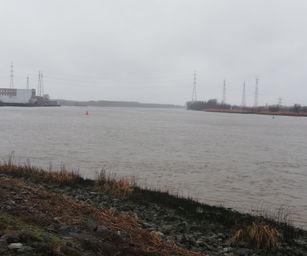 Hemiksem 02-02-2020 (1)
