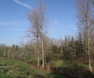 Bornem - 07-11-2020 (27)
