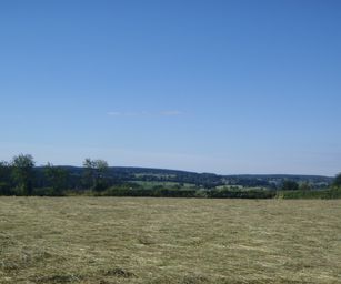 03-07-2022 Bullingen (16)