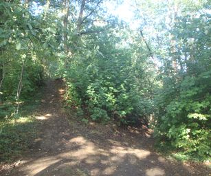 Diest  - 05-09-2020 (1)