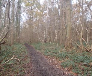 Pellenberg - 13-12-2020 (12)