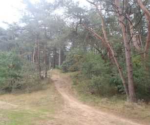 13-10-2022 Lommel (8)