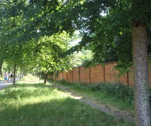 Te gek - 01-06-2020 (3)