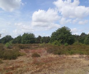 22-07-2023 - Genk (11)