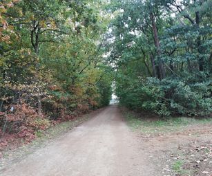 Paal - 18-10-2020 (11)